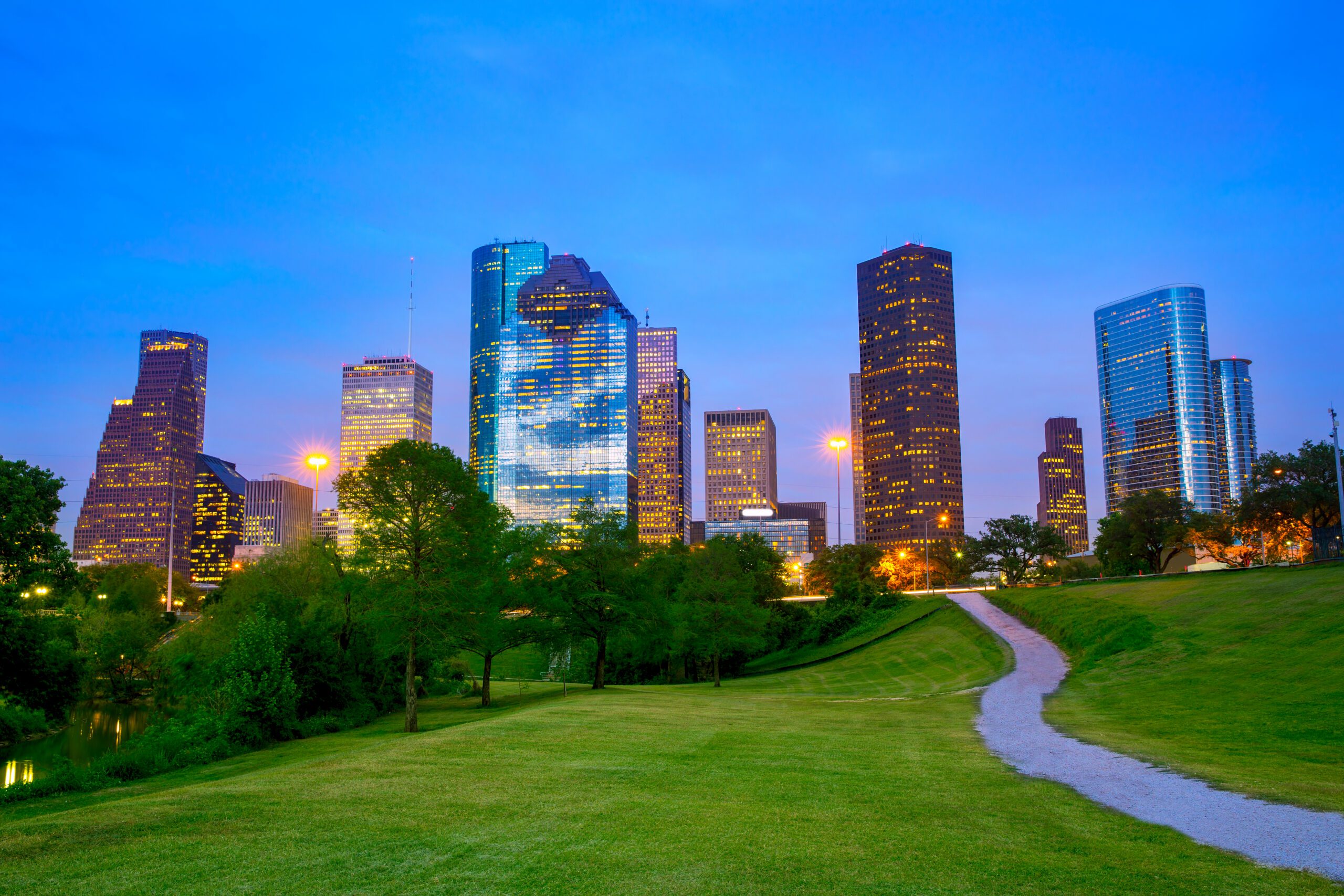 Why Hiring a Local Houston WordPress Developer Matters for Your Business